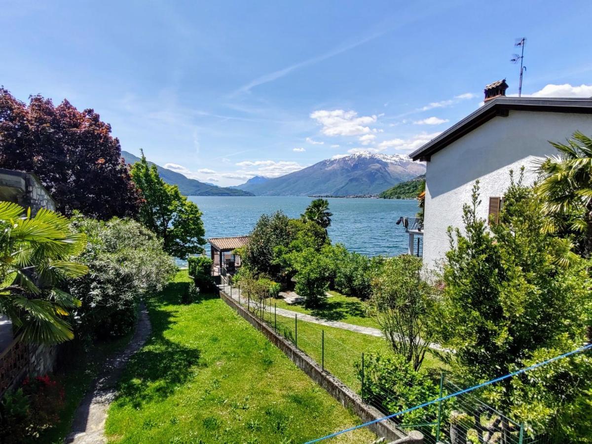 Apartment Bruna By Interhome Gera Lario Zewnętrze zdjęcie