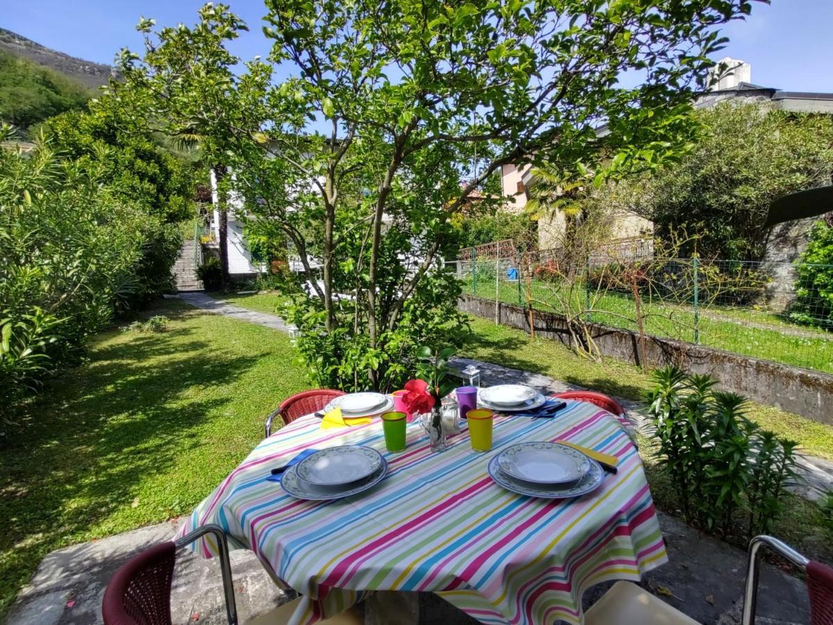 Apartment Bruna By Interhome Gera Lario Zewnętrze zdjęcie